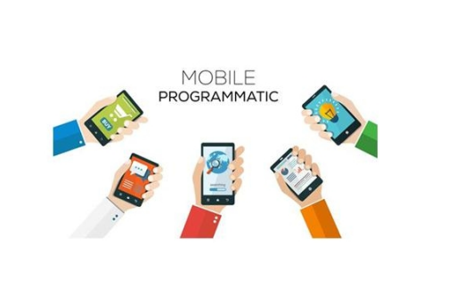 app广告变现中 直客预算 广告主